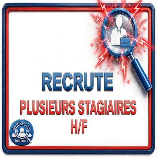 Offre d'emploi : 𝗣𝗟𝗨𝗦𝗜𝗘𝗨𝗥𝗦 𝗦𝗧𝗔𝗚𝗜𝗔𝗜𝗥𝗘𝗦 (𝗛/𝗙) chez UN ENTREPRISE